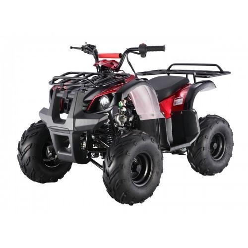 Tao Motor D125 Kids ATVs - Image 4